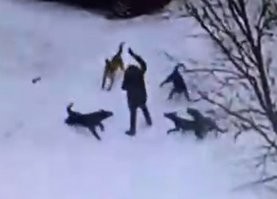 Я правильно понимаю, что вот таких ты предлагаешь убеждать добрым словом? А то и личным примером?