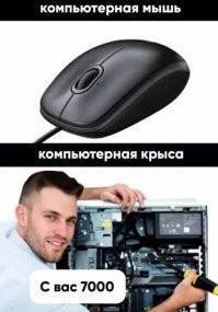 "Компьютерный мастер. Живу рядом...": как разводят по объявлению. Инструкция для мошенников