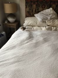 У меня хвостатый помогальщик тоже иногда остаётся под покрывалом, когда утром перед уходом на работу убираю постель. Его оттуда я не извлекаю, т.к. он в этом случае в игривом настроении и отмахивается лапами или пытается сделать кусь.