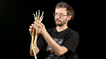 Как у вас, батенька, всё запущено.. Тут прям комментом одним всё не объяснить. Раз интернет у вас в достатке, и печатать русскими буквами умеете - гуглите на ютьюбе лекции Станислава Дробышевского, и да откроется вам чудный мир науки, и найдёт вы вы ответ на все свои вопросы и даже много нового подчерпнёте для себя.