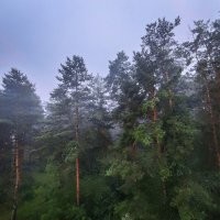 Мы в Латвии взяли дешёвую квартиру без ремонта в не лучшем районе на отшибе, но из двух комнат вид офигенный в любое время года - никакой Москва-сити рядом не валялся :)