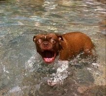 15 забавных морд, которые бы выиграли конкурс на самую нефотогеничную внешность 