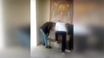 Всё как обычно, все животинки пользуются фонтаном по назначению, и только жопы с крыльями, спустились с высоких гор и давай там полоскать свои ноги и прочие промежности.