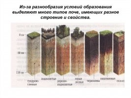 Под Екатеринбургом деревню расколол надвое стометровый разлом