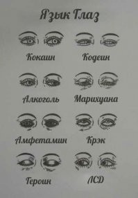«Ниточки», дуги и галочки: эволюция бровей от Марлен Дитрих до Кары Делевинь