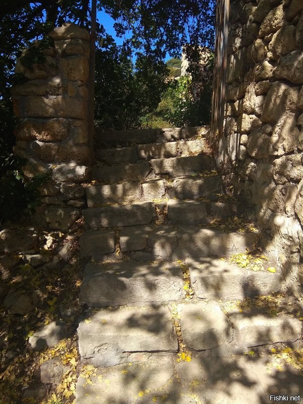 Лестница в Крыму у мыса Фиолент сейчас выглядит вот так:
И ступеней стало меньше.
