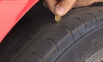 еще на сезон хватит