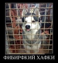 15 забавных морд, которые бы выиграли конкурс на самую нефотогеничную внешность 