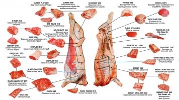 Блогерша держит дома 80-килограммовую свинку - это ее любимый питомец