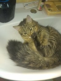 Моя мелкая сегодня утром: