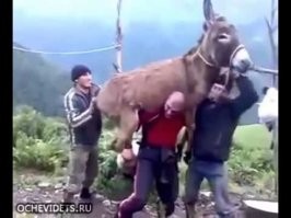 А этих куда девать?