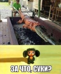 С какой скоростью крокодил может двигаться на суше и воде?
