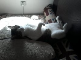 Не видишь,занято!!!