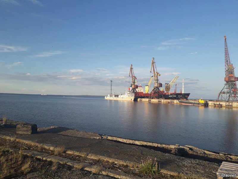 Судно Инженер Трубин в морском порту Тикси. Навигация 2020г. Рядом мое судно)))