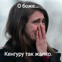 Типичный день в Новой Зеландии: утро началось с пожара, а закончилось угнанным авто