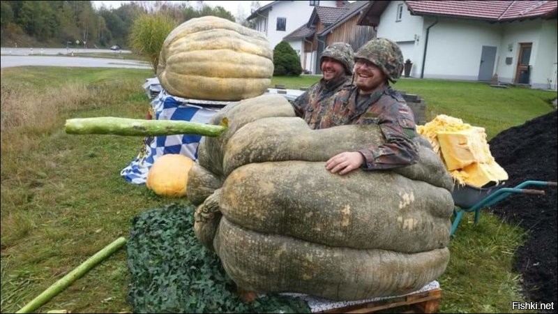 Солянка от 29.10.2020