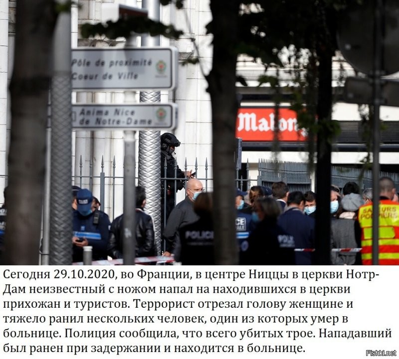 Политические комментарии из инета