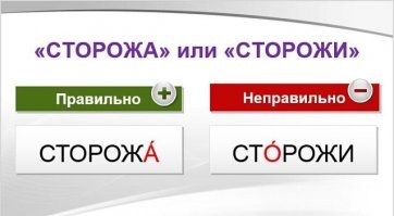 20 самых сильных пород собак в мире