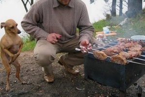 Прикольные и смешные картинки