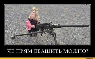 Рецепт демократизации негров.