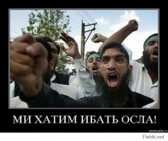 Ответы верующих, а не политиков: Кадыров и Запорожские козаки