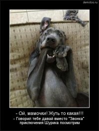 Истории возникновения знаменитых ужастиков