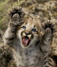 Все так, все так.