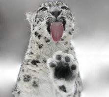 Все так, все так.