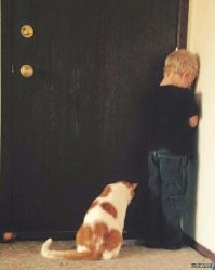 Фотоподборка со всякими зверушками