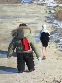 Фотоподборка со всякими зверушками