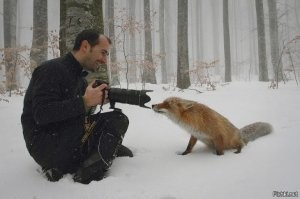 Фотоподборка со всякими зверушками