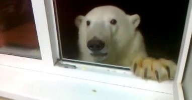 - Нихрена себе вы устроились?!