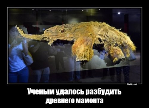 Здрасте всем