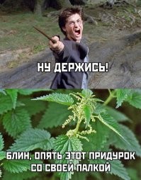 Прикольные и смешные картинки