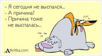 Прикольные и смешные картинки