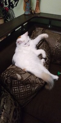 Больше двух, ага)) и да, у меня похожая))