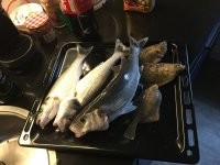 :)))) Да мы только домой вернулись :) неделю у нас на северном море были . Вот вчерашний улов :)