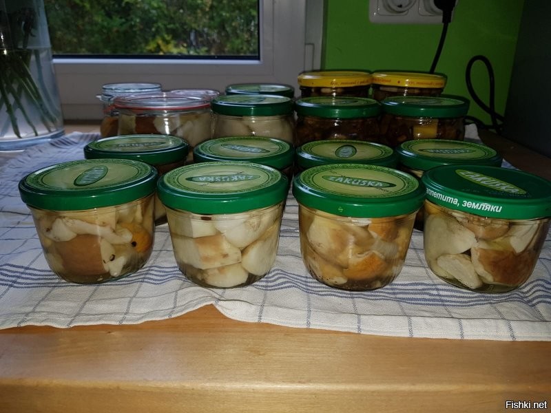 У нас "улов" пока слабее, но за один раз неплохо.