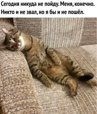 Странный дом, выставленный на продажу, стал мемом