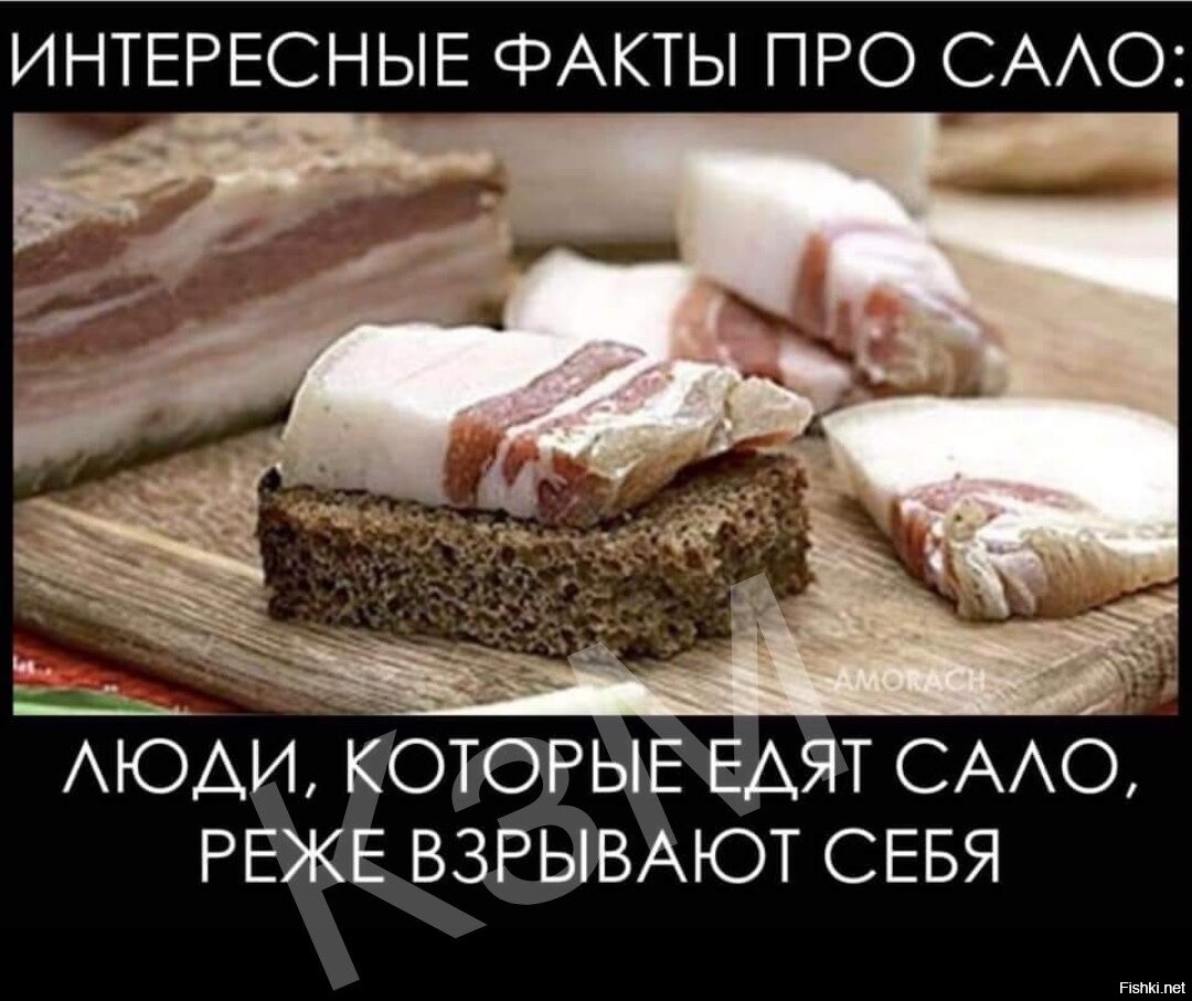 Есть сало да не про кота. Сало прикол. Шутки про сало. Интересные факты о Сале. Интересное про сало.