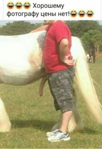 Прикольные и смешные картинки