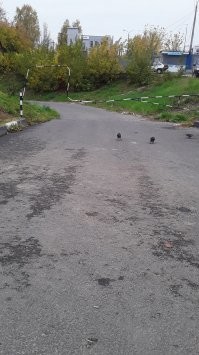 а это в моем городе.