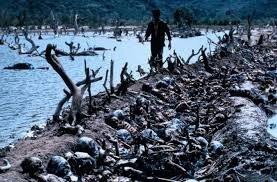 В Камбодже обошлись без негров. Достаточно было цитатника великого Мао и творческого переосмысления идеи хунвейбинов