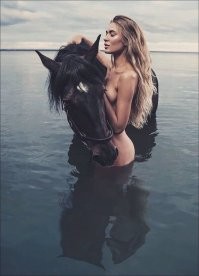 Пестрый мир лошадей