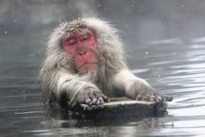 Айны тоже не коренные жители, вот коренные
