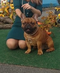 Мой чемпион всего что можно. ))