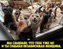 Шутка не удалась, но мама инициативу оценила
