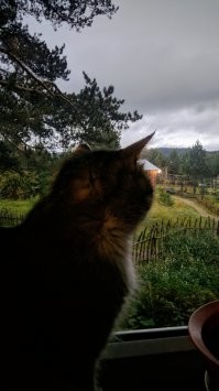 У нас тоже отлично осенью. Да вообще и летом и зимой с весной