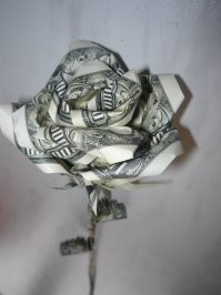 16 самых странных и необычных растений со всего мира