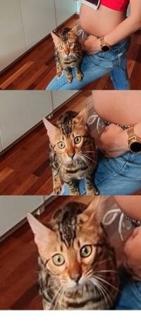 Моё лицо, когда прочитал всё это: